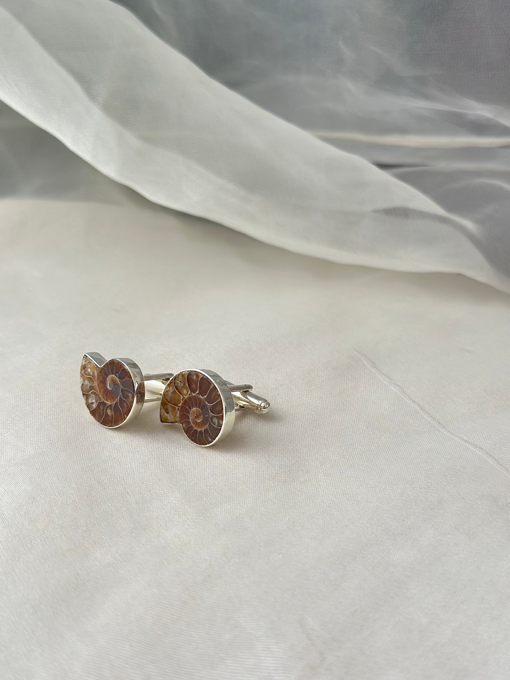 Fossil Cufflinks (Pair)