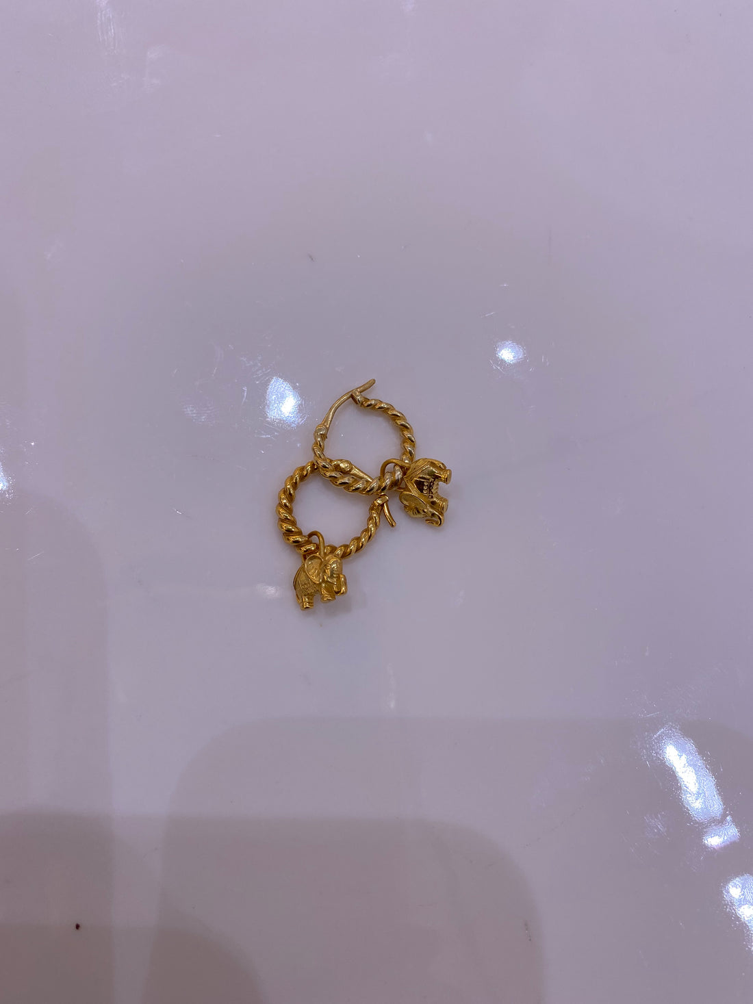 Changeable Charm Hoops